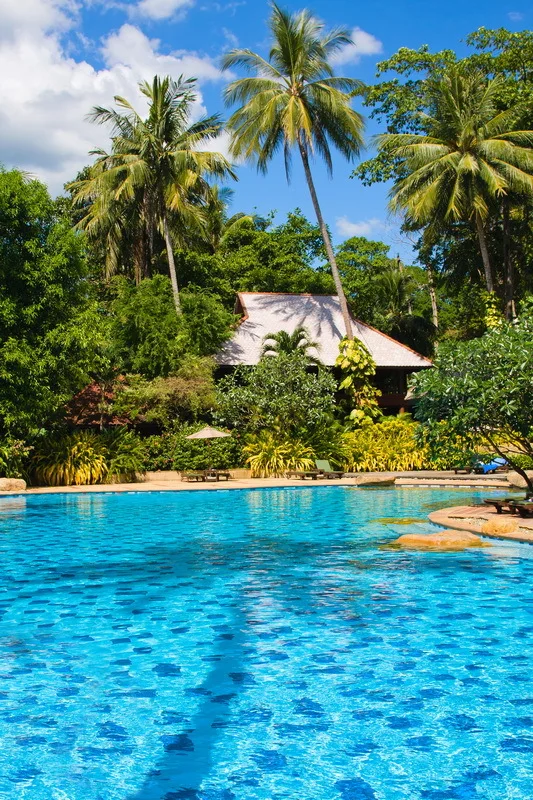 Swimming Pool Background online buy wholesale swimming pool background from china swimming Swimming Pool Background online buy wholesale swimming pool background from china swimming