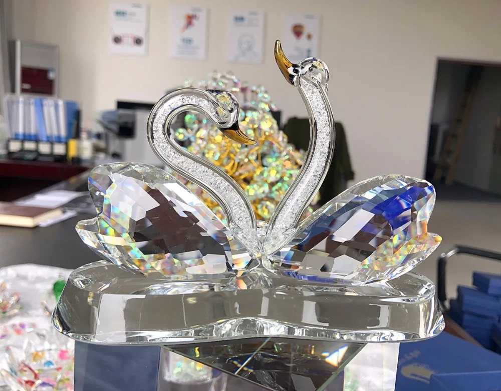 swan-7