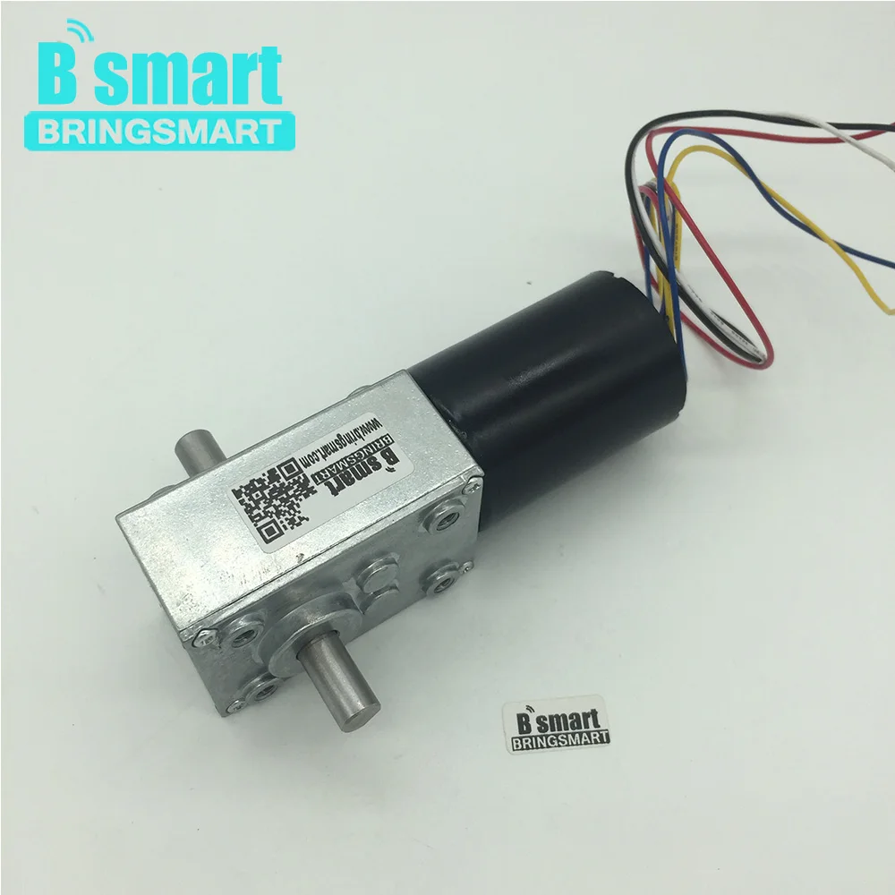 Bringsmart 5840-3650 DC мотор-редуктор 12V червь Шестерни мотор 24 бесщеточный электродвигатель постоянного тока с двойным валом мини Шестерни коробка с встроенной функцией спуска затвора тормоз двигателя