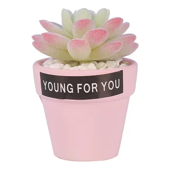 

Nordic Plant Decoration Green Plant Small Ornaments Simulation Fleshy Pink Potted INS Girl Room Desktop Crafts Ceramic Bonsai