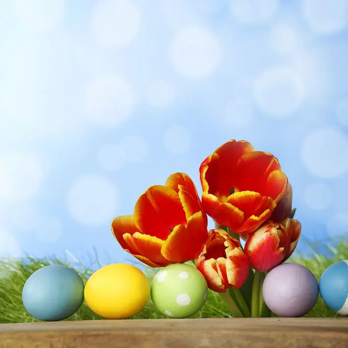 

3m*3m(10*10ft) easter photography backdrops Tulips green eggs background photography Easter Day ZJ