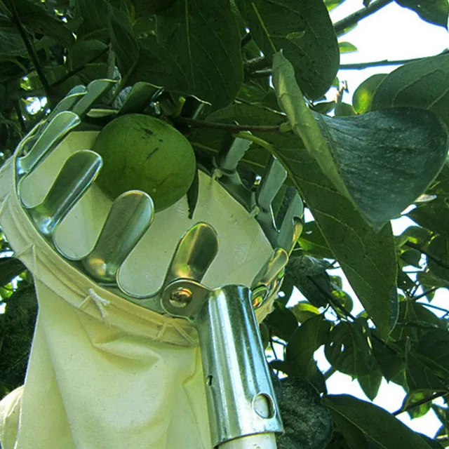 Garden Pruning Fruit Picker Gardening Apples Pear Peach Picking Tool Metal Creatively Long Distance Collection Gathering Tools