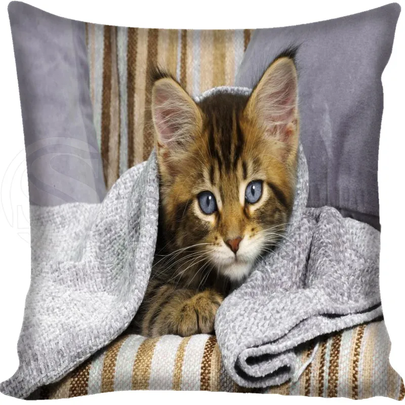 cute cat Pillow Cover Home Living Decorative Pillowcase Custom Square