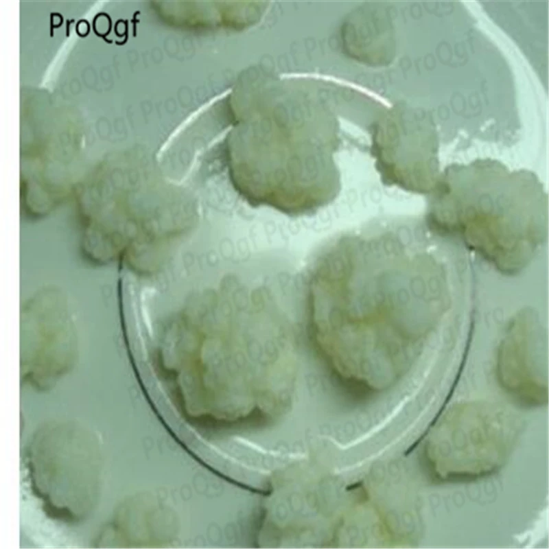 

10Gram A Set Tibetan kefir xuelianjun