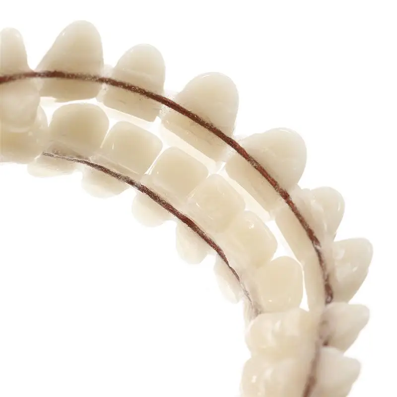 Fabricados Dentição Preformed Oral Care Ferramenta de Material Artificial