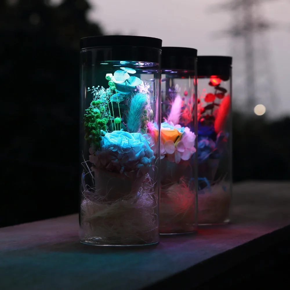 Консервированные розы RGB светодиодные светильники для украшения настоящие