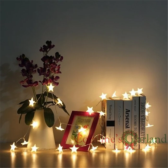 string lights (12)