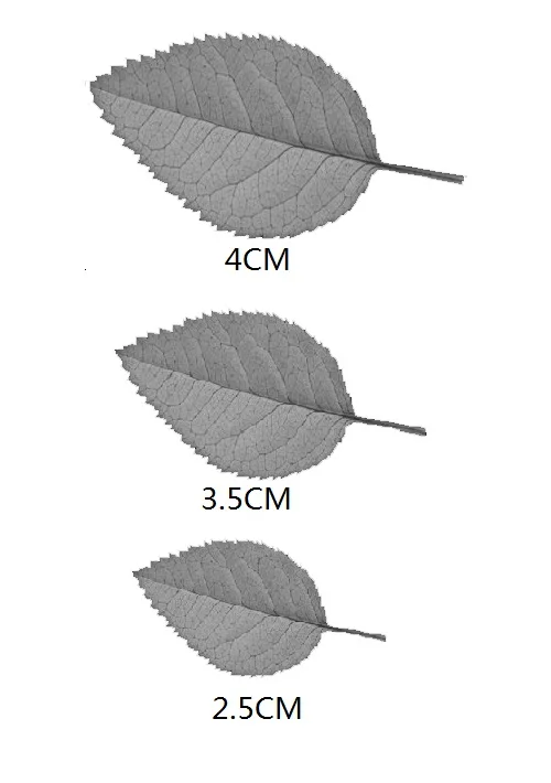 

Hemere Rose leaf frame Scrapbooking Metal Cutting Dies Stencil for DIY Photo Album Decor Paper Cards Making Craft Embossing dies
