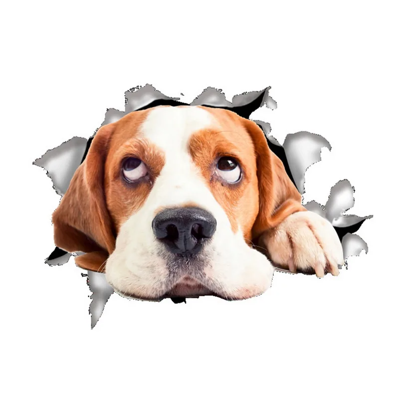 Hoomall 3D стикер на стену с отверстием для просмотра кошек и собак холодильник