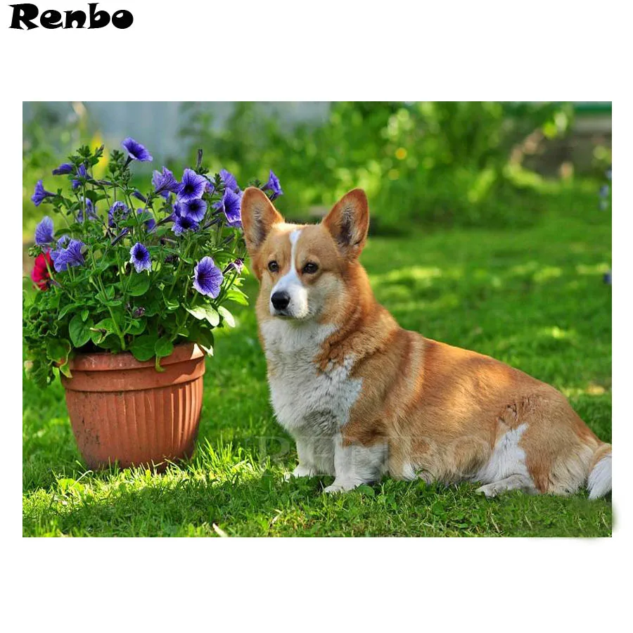 

DIY Diamond Embroidery,Pembroke Welsh Corgi Dog Pet dog,5d Diamond Painting Cross Stitch,3D,Diamond Mosaic,Needlework,decor,gift