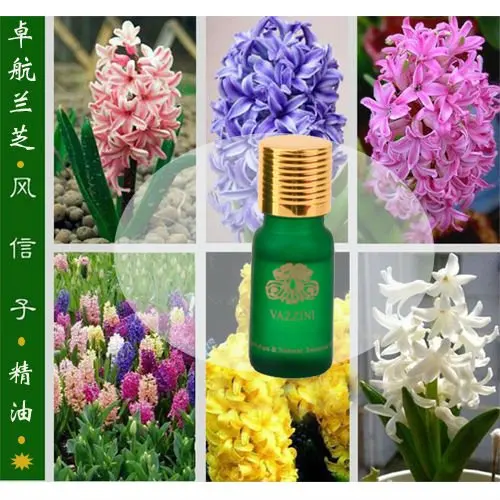 

Vazzini 30 ML Hyacinth Pure essential oil FREESHIPPING(D20)