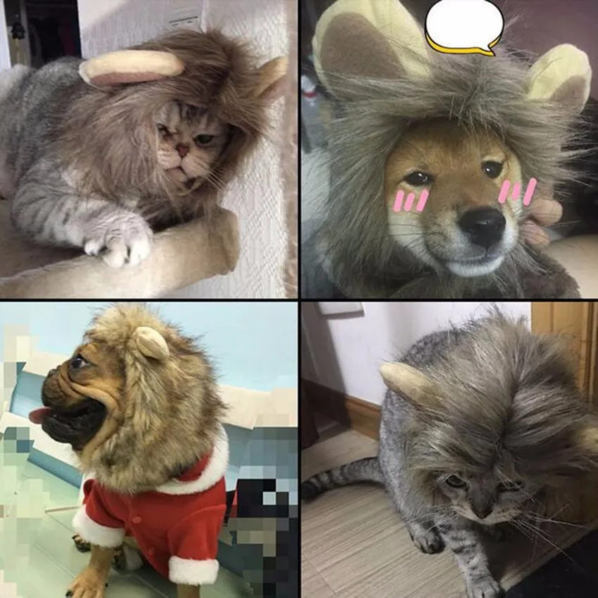 petwig113