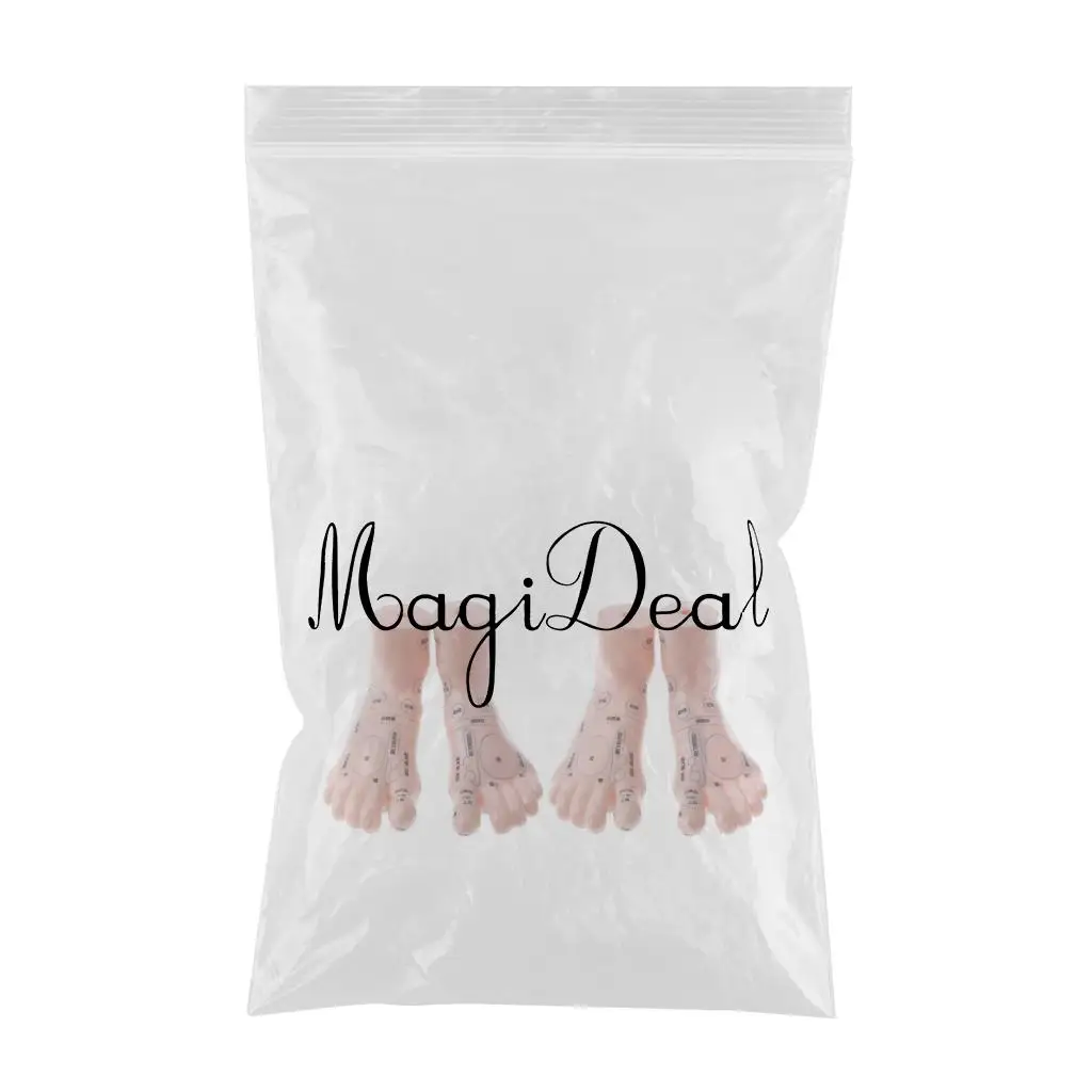 2 Pair 19cm Human Feet Model - Massage Acupuncture Reflexology Acupoint Medicine Learnin Study Kit