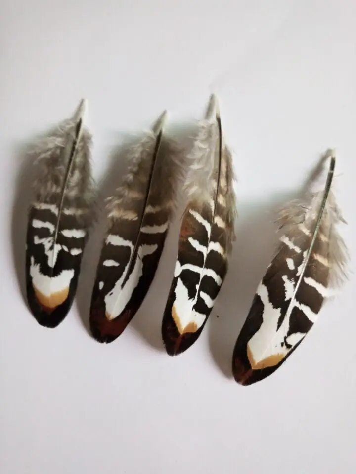 

Hot! 10 pc 7-10cm quality natural Pheasant feathers, diy jewelry decoration