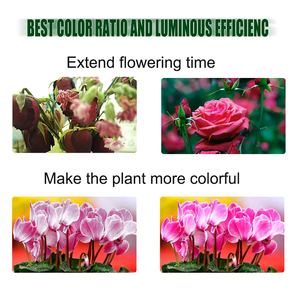 HTB1XfgxaOjrK1RjSsplq6xHmVXaS