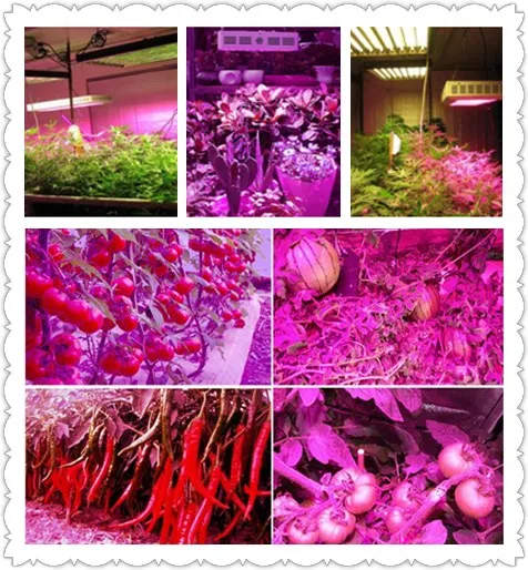 Новейшие отражатель серии светать 600 W полный спектр овощей и цвету двойной переключатель светодиодные лампы для растений для внутреннего
