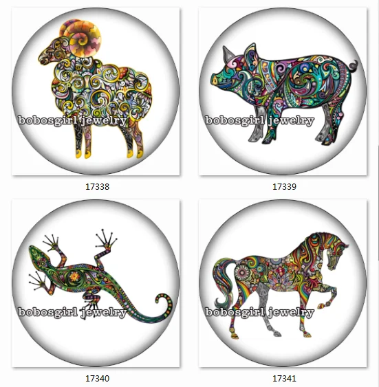 

SN1201 Animal Art snap button Jewelry Charm photo glass cabochon