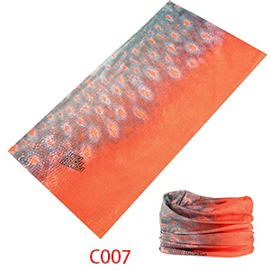 C007-2