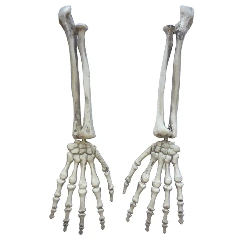 プラスチックスケルトン腕魔女手お化け屋敷エスケープホラー小道具ハロウィーンの装飾 Decorative Decorative Decoration Propsdecoration Halloween Aliexpress