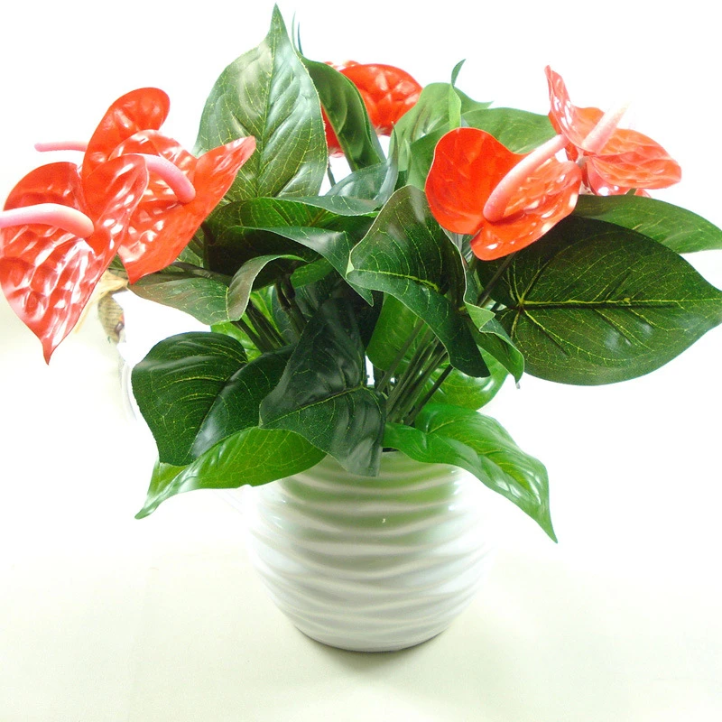 5 ピース アンスリウム花シミュレーション の植物チューリップ赤anthuriums偽の花ホーム デコレーション Flower Shaped Latex Balloons Flowering Tree White Flowersflower Window Aliexpress