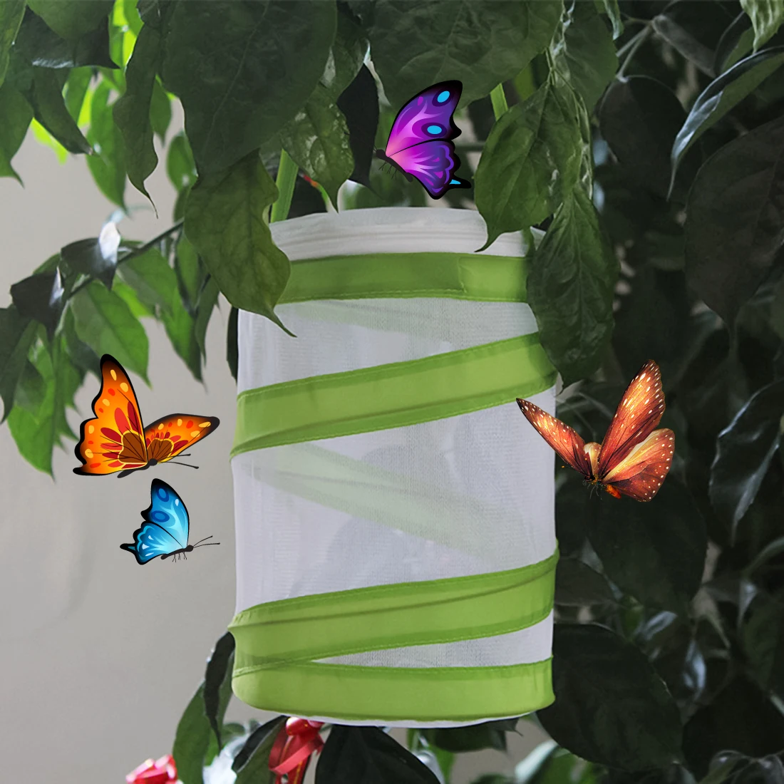 

Butterfly Pop-up Cage Praying Mantis Stick Insect Housing Enclosure Education Toys For Children- White + Green S