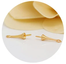 aeProduct.getSubject()