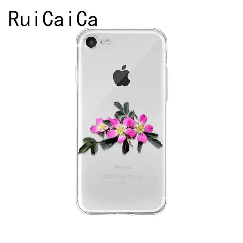 flower plant peony rose sunflower Lotus