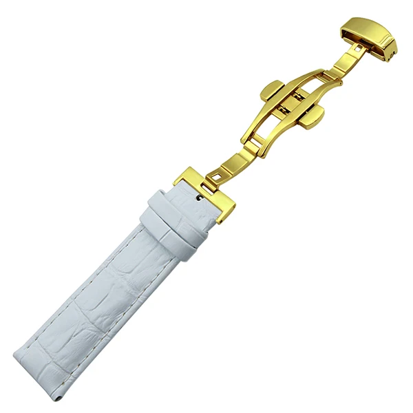 GD W5
