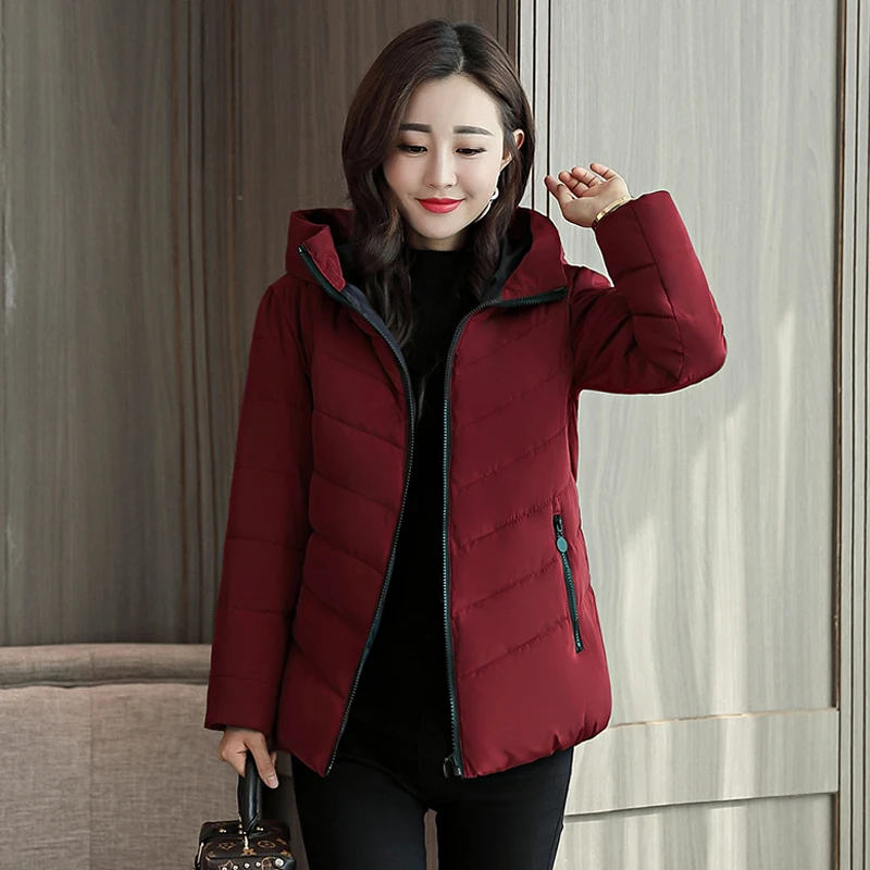 New  Stand Collar Hooded Winter Jacket Women Autumn Basic Jacket Ladies Female Coat Coats Outwear Casaco