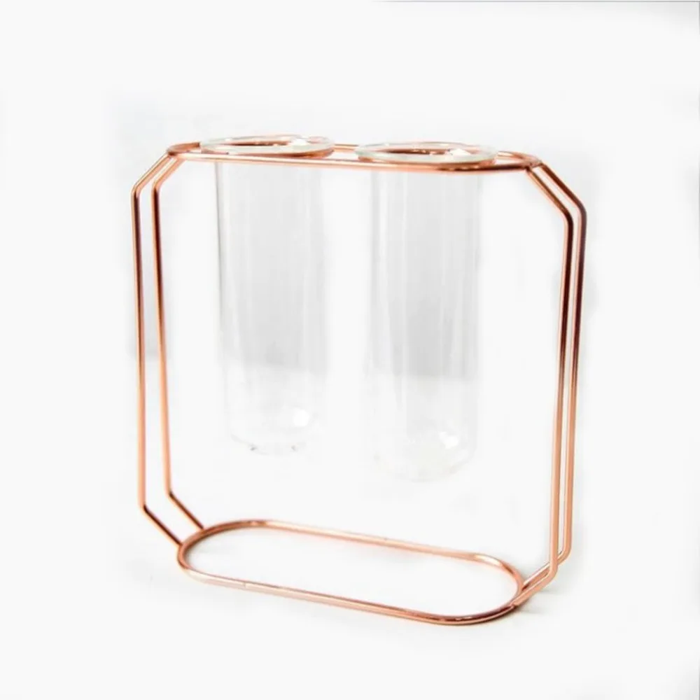 Metal Shelf Glass Vase Hydroponic Glass Pots Flower Vase Decorative Pots Planters Tube Vase