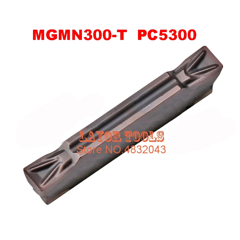 4MGMN300-T PC5300