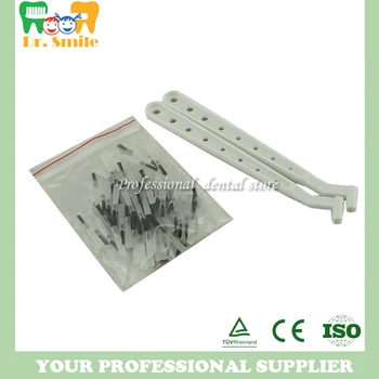 

100 Pcs Dental Disposable Composite Brush Tips with 2 Brush Handles
