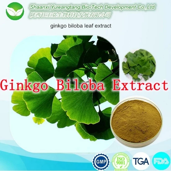 

Chinese Best Food Supplement Ginkgo Biloba Extract (24/6) Capsule 500mg x 500pcs free shipping