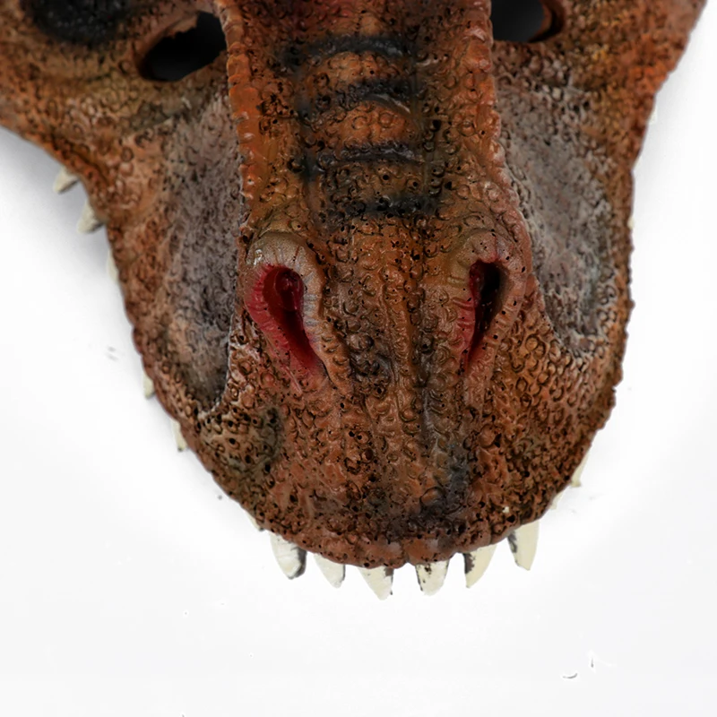 HTB1U3ZLHf9TBuNjy1zbq6xpepXaH