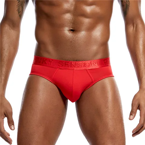 Buy Mens Underwear Briefs Modal Male Underwear Mens
