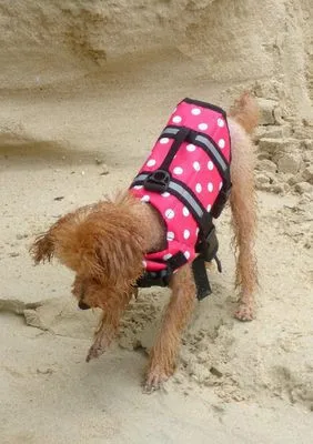 Новая мода собака поплавок спасательный жилет куртка водный спасательный жилет одежда для лодок спасательный жилет для собак