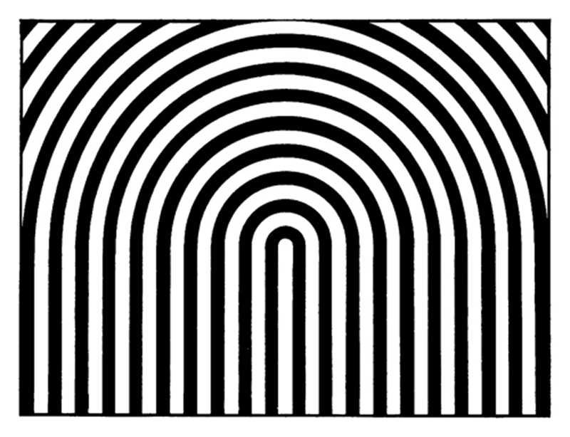 11120479711_591419584