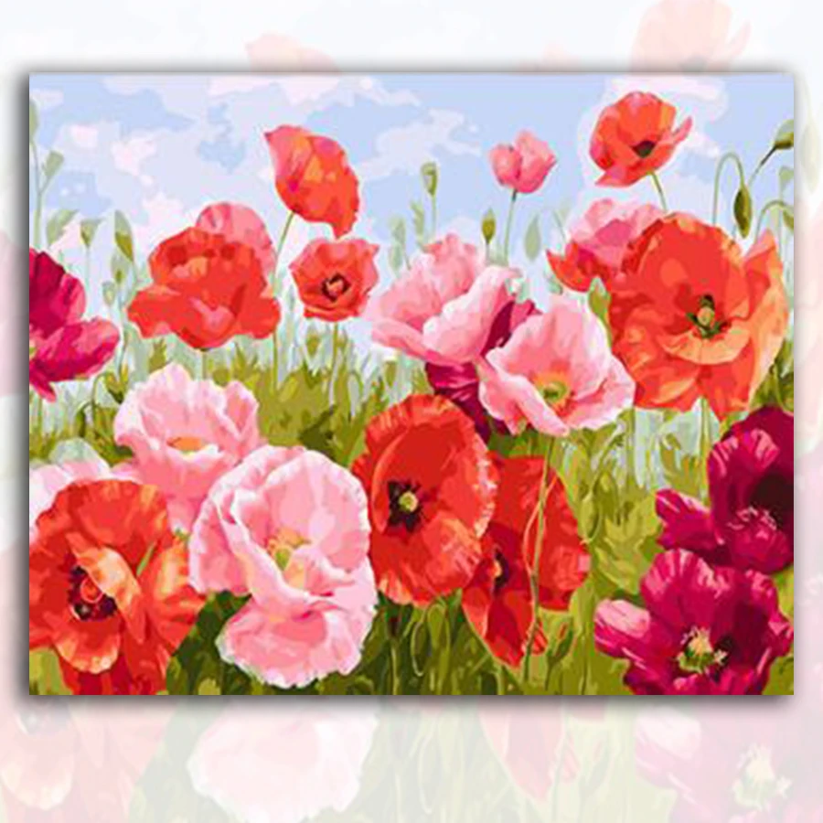 ZXWERT-15-dr+-yh-5-1