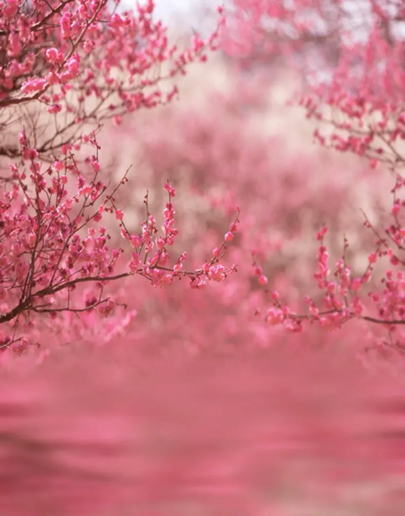 

5x7ft Pink Flowers Tree Photography Backdrops Photo Props Studio Background