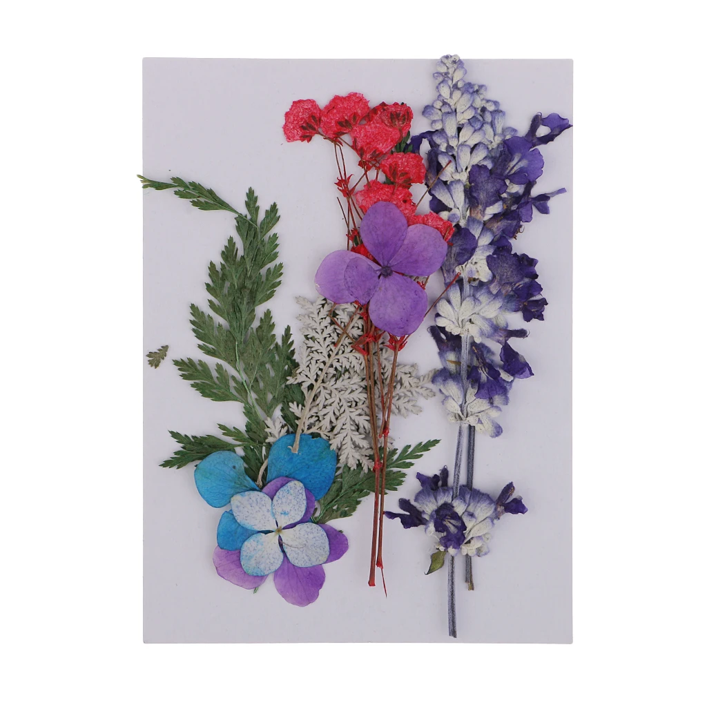 

Assorted Color Natural Dried Flowers Scrapbooking Embellishments for Jewelry Card Making Resin Casting Filler Card DIY Craft