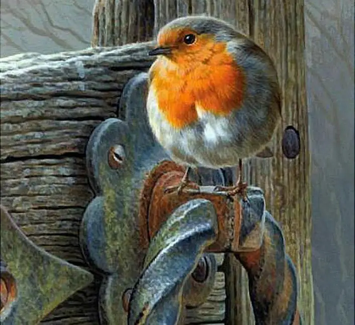 

Full Square/Round Drill 5D DIY Diamond Painting "Animal bird" Embroidery Cross Stitch 5D Home Decor Gift