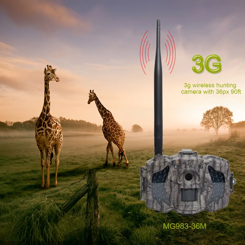 983-36