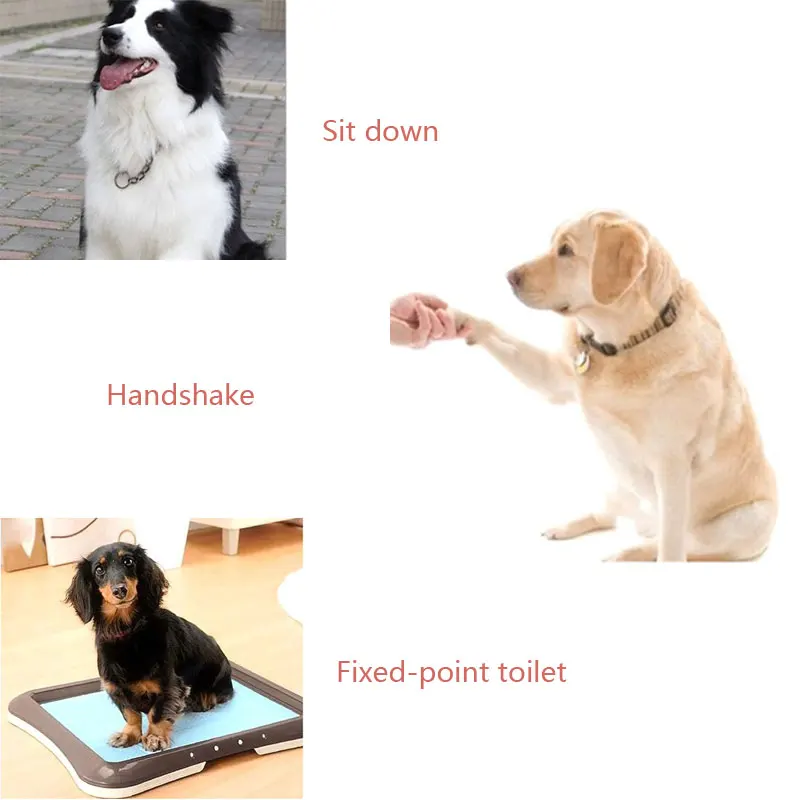7657
