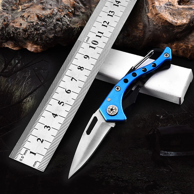 

Stainless Steel Keychain Pocket Knife Mini Portable Folding Knife Fruit Cutter Practical Hunting Camping Outdoor Survival Tool