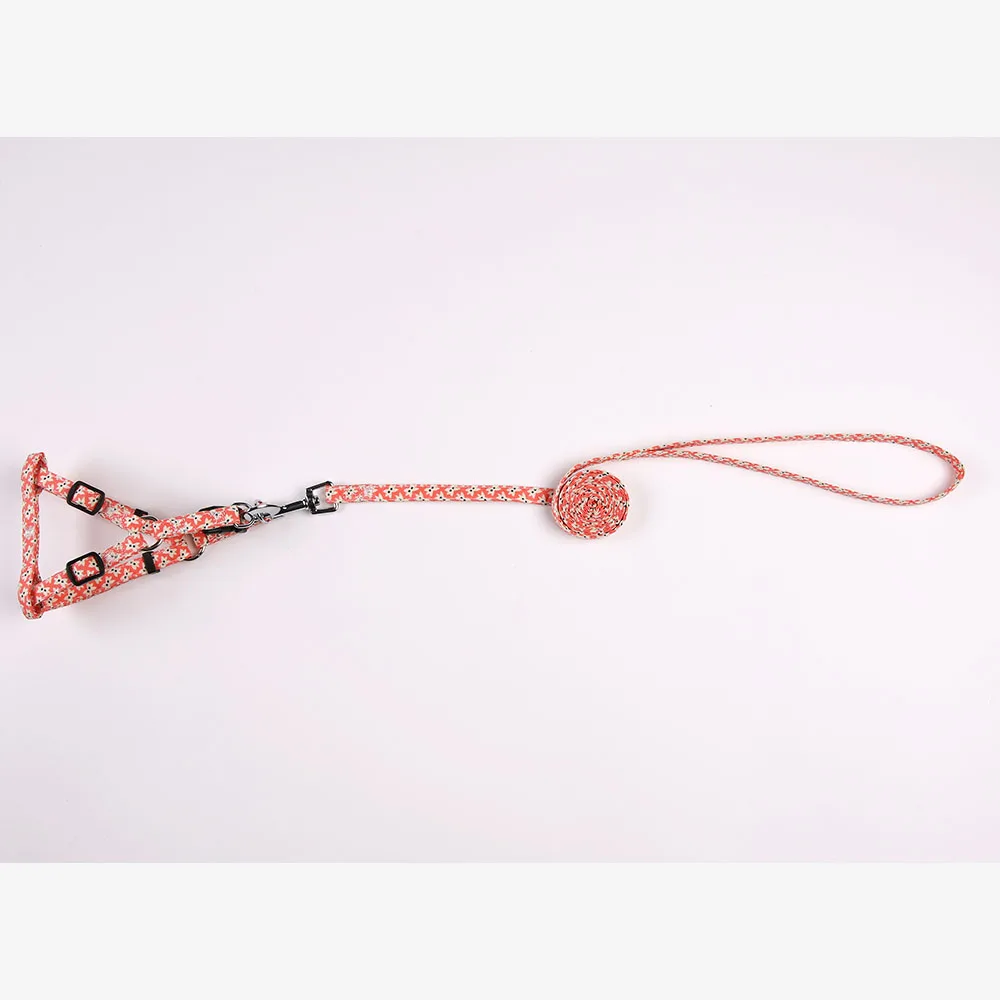 SKU-6 dog leash and harness set
