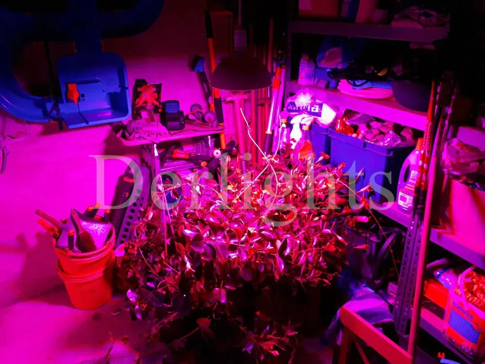 1 шт. 80 Вт лампа для роста E27/E40 AC85~ 265 В SMD3528 800 светодиодов светильник для выращивания растений для комнатных цветов овощей и гидропоники