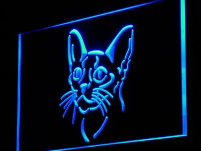 

i985 Abyssinian Cat Pet Shop Gift Cute New Light Sign On/Off Switch 20+ Colors 5 Sizes