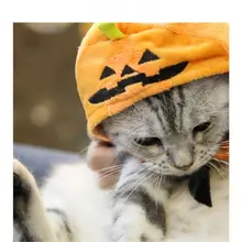 Хэллоуин тыква фестиваль парик для собак кошка головной убор или когда шарф