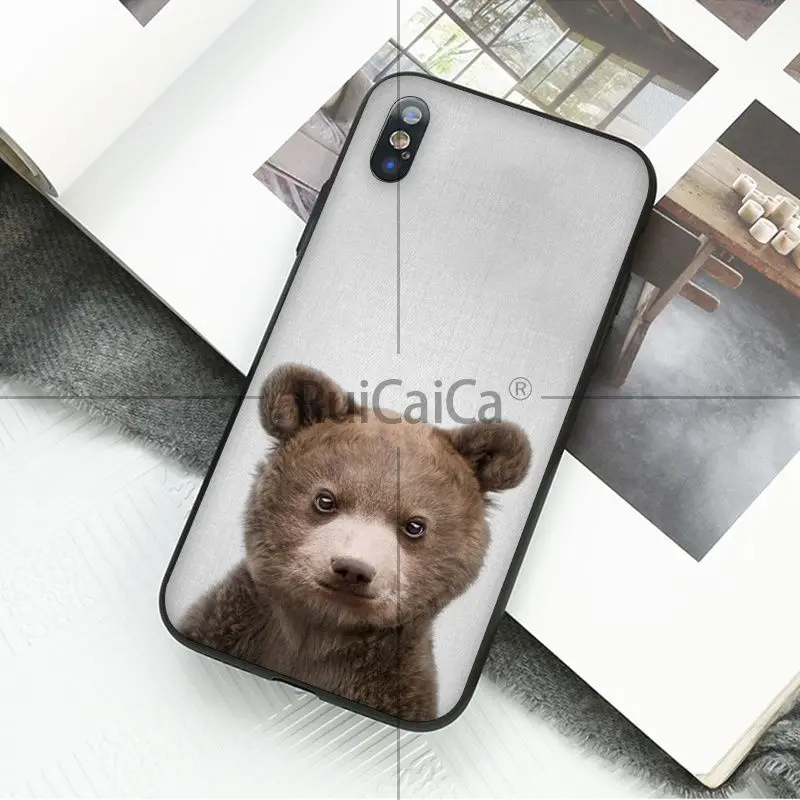 Animal dog cat tiger penguin baby