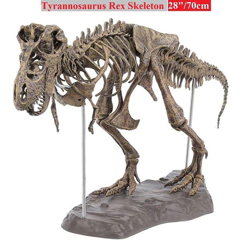 Buy Large Dinosaur Fossil Skull Animal Model Toys